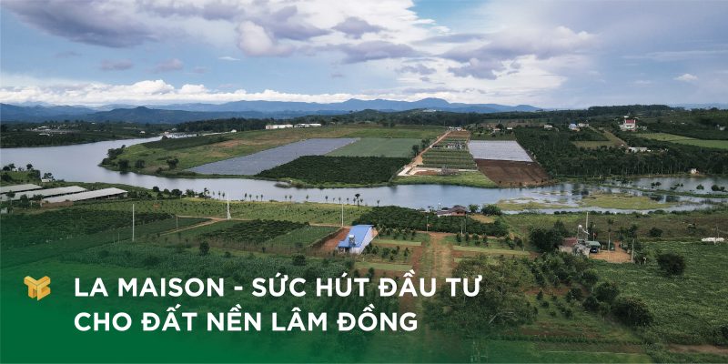 La MaiSon - sức hút đầu tư cho đến nền Lâm Đồng