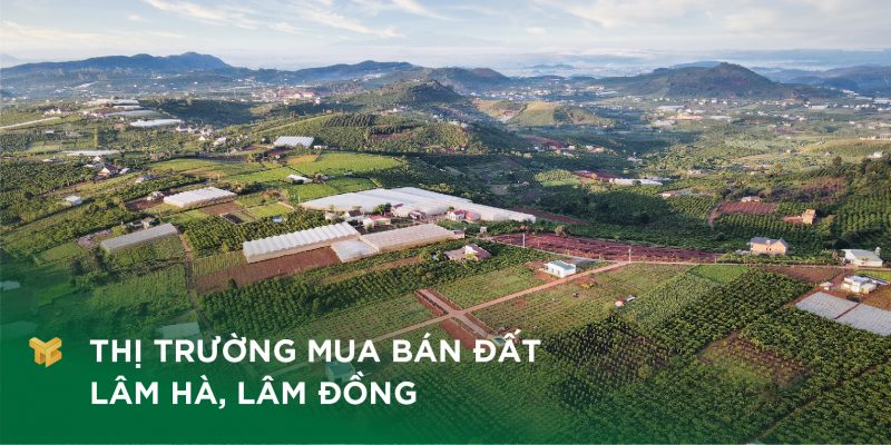 Thị trường mua bán đất Lâm Hà, Lâm Đồng