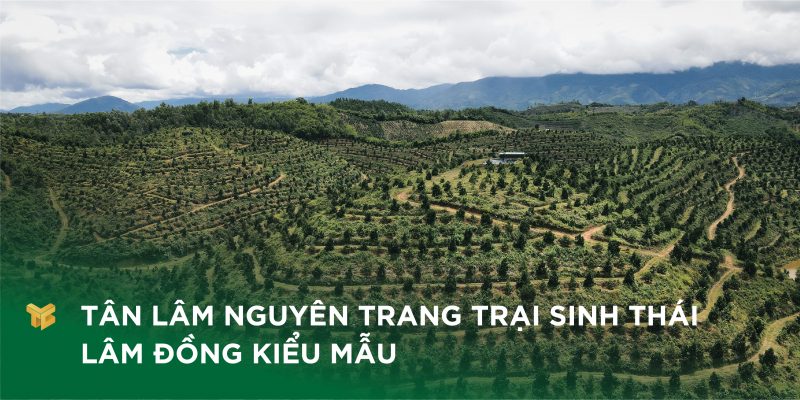 Tân Lâm Nguyên - trang trại sinh thái Lâm Đồng kiểu mẫu